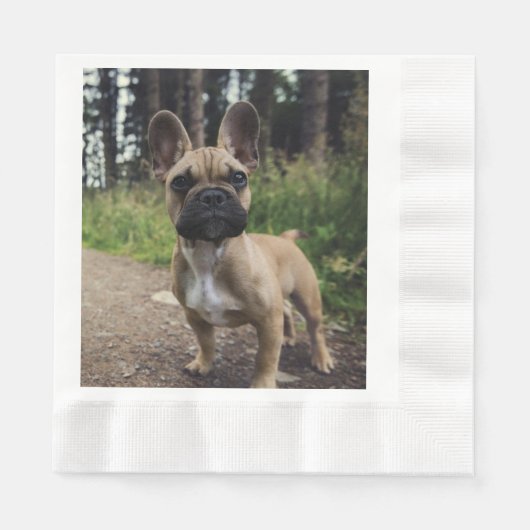 Serviette En Papier Coussin de lancer Bouledogue Français (Devant)