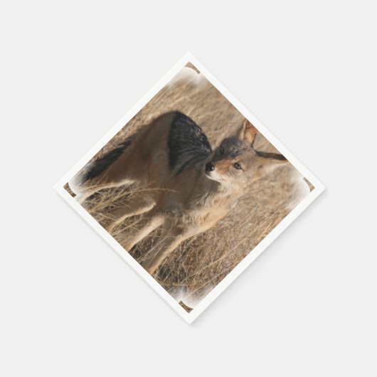 Serviette En Papier Coyote (Coin)