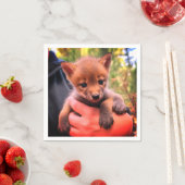 Serviette En Papier Coyote Cub (En situation)