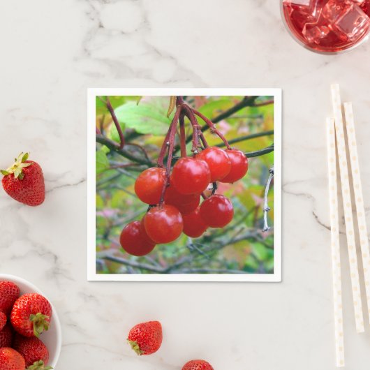 Serviette En Papier Cranberry (En situation)