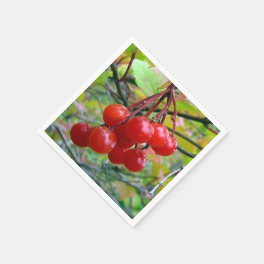 Serviette En Papier Cranberry (Coin)