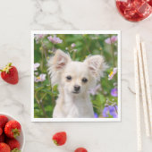 Serviette En Papier Crème lâche mignonne Chihuahua Chig Chiot Photo su (En situation)