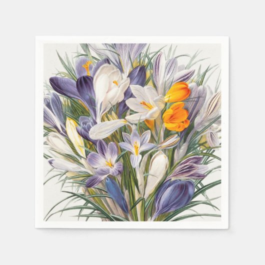 Serviette En Papier Crocus Spring Flower Botanique Floral Art (Devant)