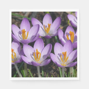 Serviette En Papier Crocus violets ensoleillés