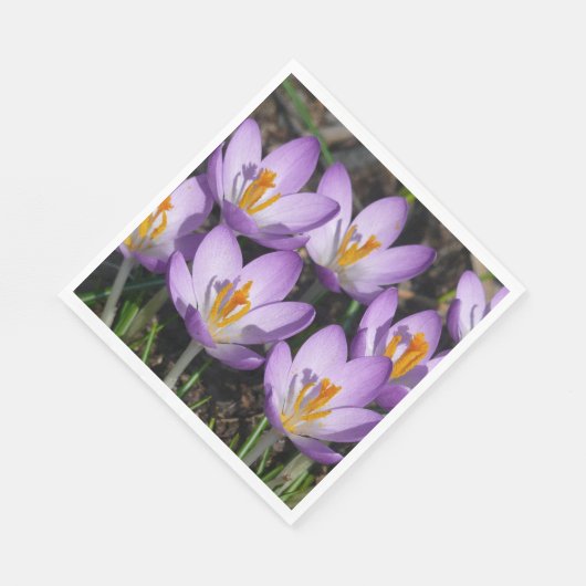 Serviette En Papier Crocus violets ensoleillés (Coin)