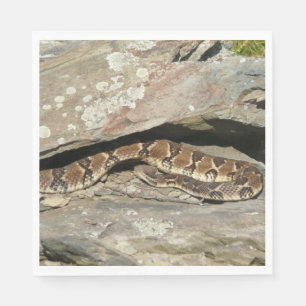 Serviette En Papier Crotale à Shenandoah National Park