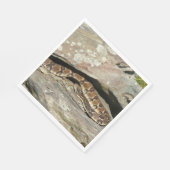 Serviette En Papier Crotale dans le parc national de Shenandoah (Coin)