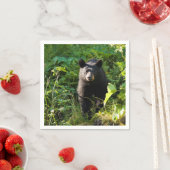 Serviette En Papier Curieux ours noir (En situation)