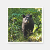 Serviette En Papier Curieux ours noir (Devant)