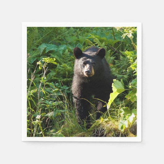 Serviette En Papier Curieux ours noir (Devant)