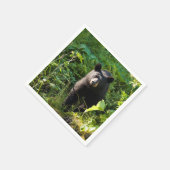 Serviette En Papier Curieux ours noir (Coin)