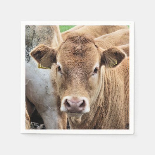 SERVIETTE EN PAPIER CUT CALF (Devant)