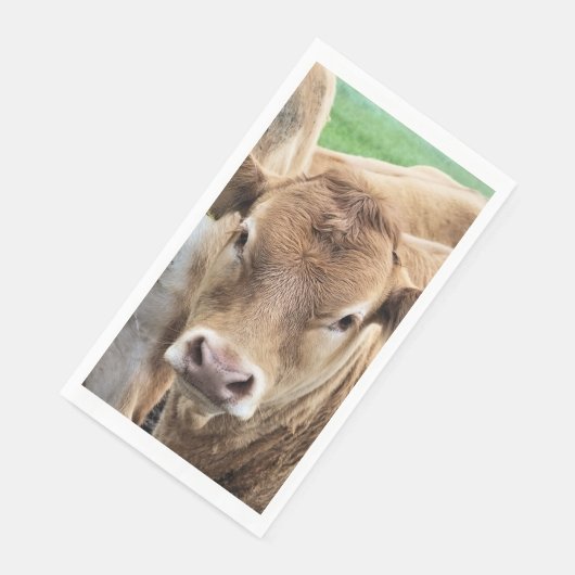 SERVIETTE EN PAPIER CUT CALF (Coin)