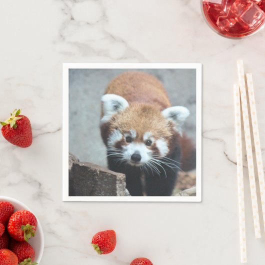 Serviette En Papier Cute (En situation)