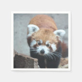 Serviette En Papier Cute (Devant)