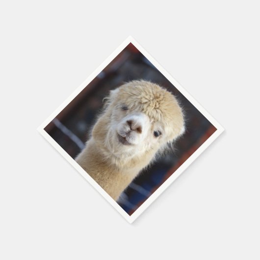 Serviette En Papier Cute Alpaca face (Coin)