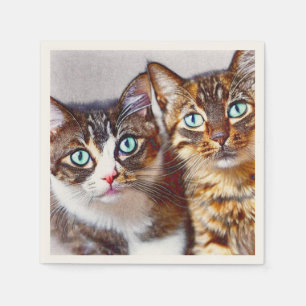 Serviette En Papier Cute chatons Visages