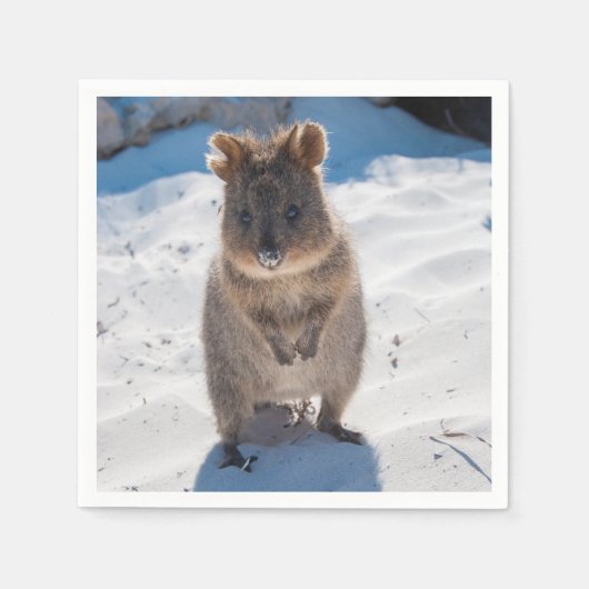 Serviette En Papier Cute et heureuse Quokka sur la plage en Australie (Devant)
