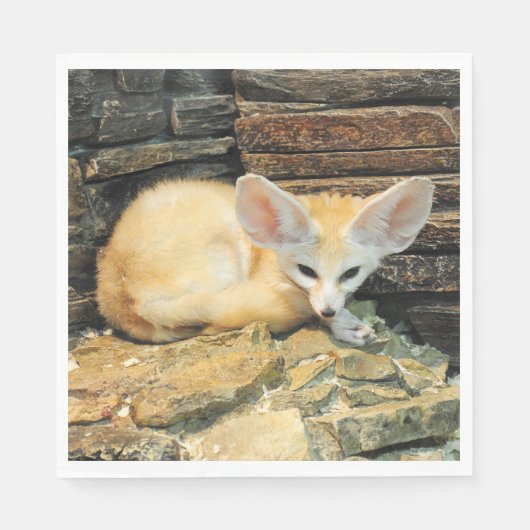 Serviette En Papier Cute fennec fox (Devant)