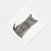 Serviette En Papier Cute Grey Kitten Grey Kitty Cat Party (Coin)