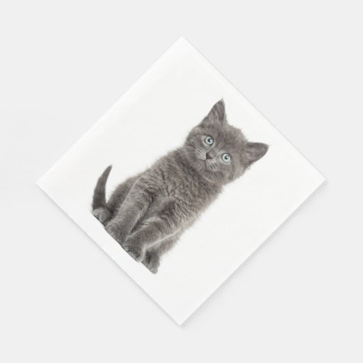Serviette En Papier Cute Grey Kitten Grey Kitty Cat Party (Coin)