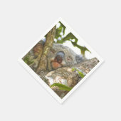 Serviette En Papier Cute Koala Bear Napkins (Coin)