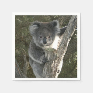Serviette En Papier Cute Koala Escalade un arbre