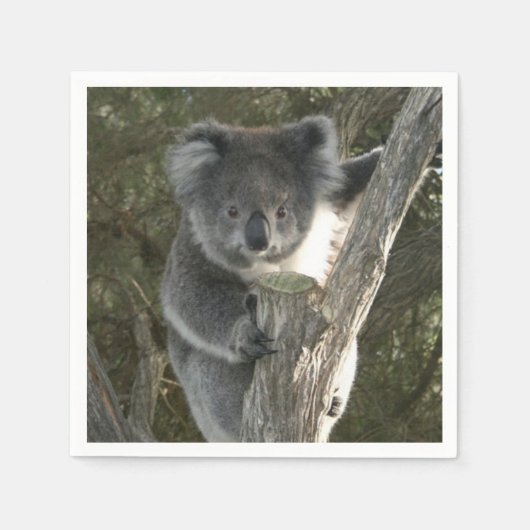 Serviette En Papier Cute Koala Escalade un arbre (Devant)