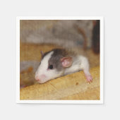 Serviette En Papier Cute rat (Devant)