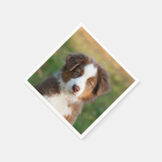 Serviette En Papier Cute Red Tri Australian Shepherd Chien Chien Puppy (Coin)