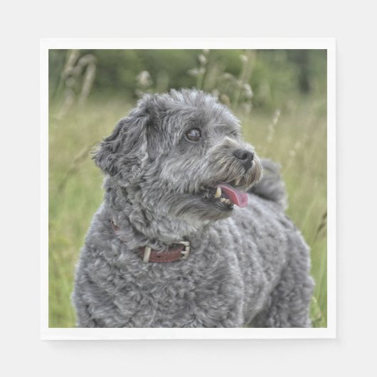 Serviette En Papier Cute Terrier Chien (Devant)