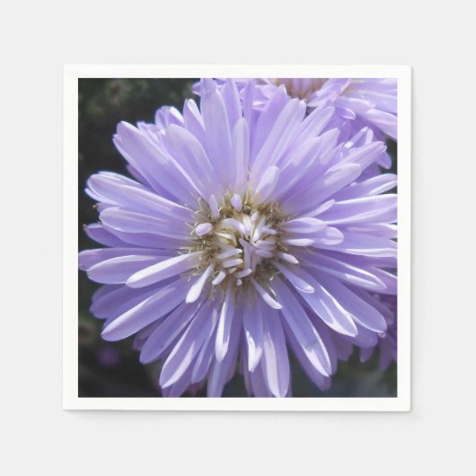 Serviette En Papier Cyrène (Devant)