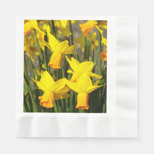 Serviette En Papier Daffodiles jaunes printaniers Floral (Devant)