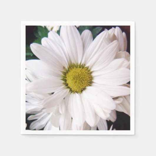 Serviette En Papier *Daisy* Cocktail Party Napkins (Devant)