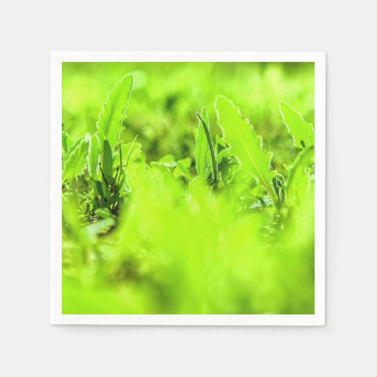 Serviette en papier de style vert brillant et enso (Devant)