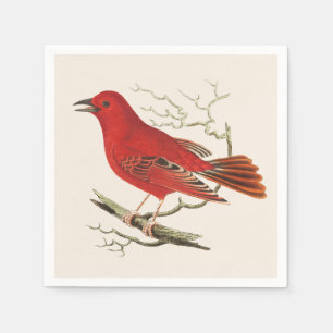 Serviette En Papier Décor d'art naturaliste vintage de la Tangara écar
