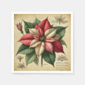 Serviette En Papier Découpage botanique festive de Retro Poinsettia (Devant)