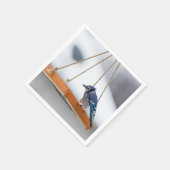 Serviette En Papier Déjeuner Blue Jay (Coin)