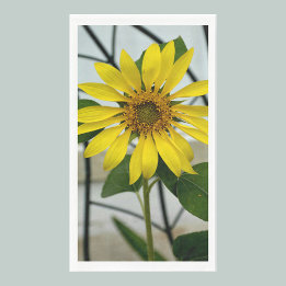 Serviette En Papier Délicat tournesol jaune