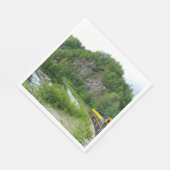 Serviette En Papier Denali Express Alaska Train Vacation Photographie (Coin)