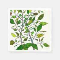 Dessin d'arbre au crayon de couleur de plante de F