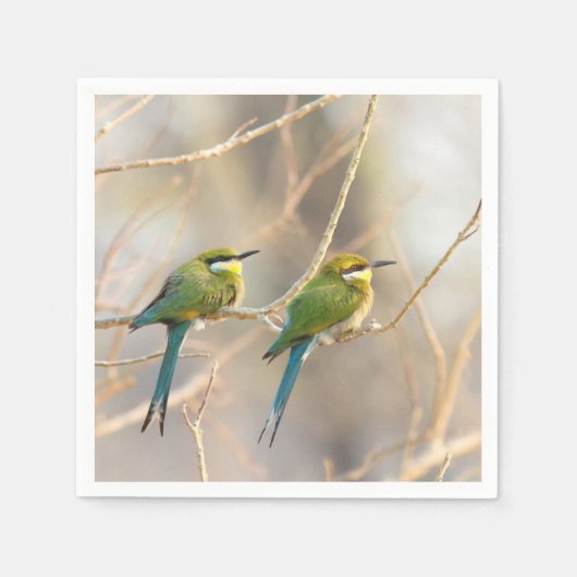 Serviette En Papier Deux Bee-eaters (Devant)