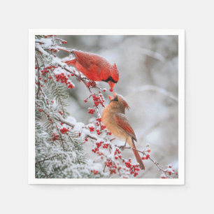Serviette En Papier Deux cardinaux aux baies rouges en hiver