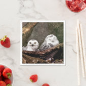 Serviette En Papier Deux Chouettes (En situation)