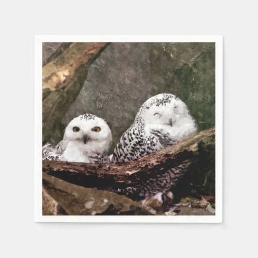 Serviette En Papier Deux Chouettes (Devant)