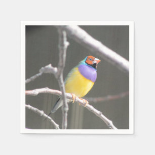 Serviette En Papier Diamant de Gould