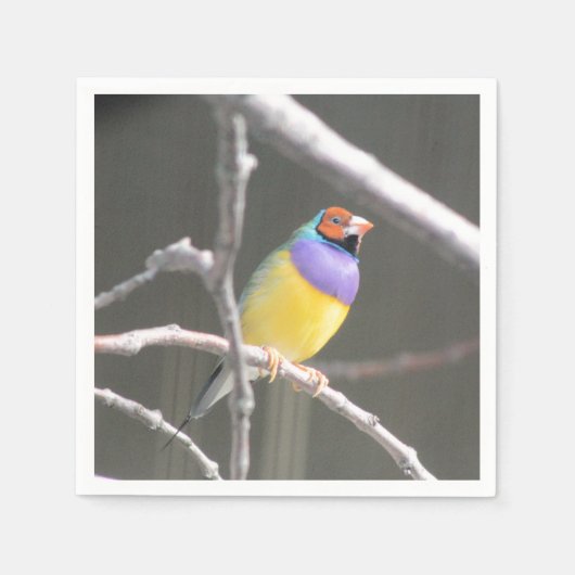 Serviette En Papier Diamant de Gould (Devant)