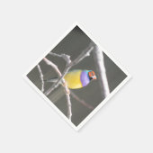 Serviette En Papier Diamant de Gould (Coin)