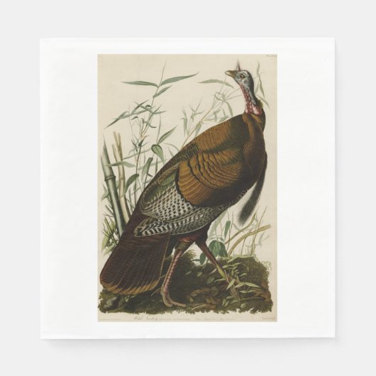 Serviette En Papier Dinde de Thanksgiving John James Audubon (Devant)