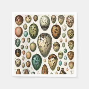 Serviette En Papier Divers types d'Oeuf Illustration scientifique